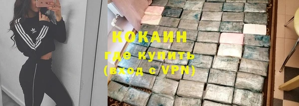 шишки Алексин