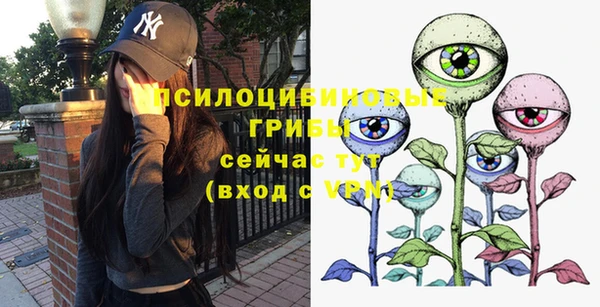шишки Алексин