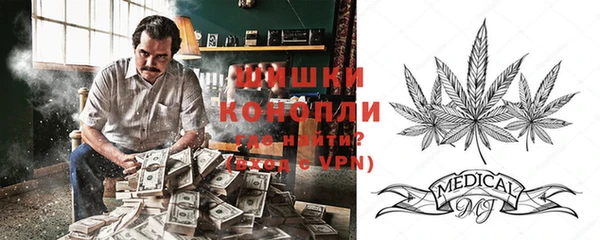 шишки Алексин
